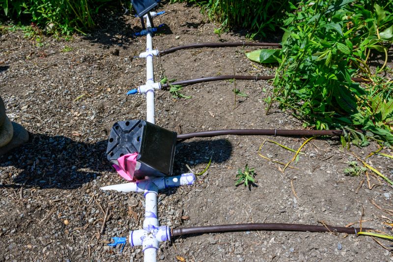 Inground Irrigation Service in Honolulu, HI