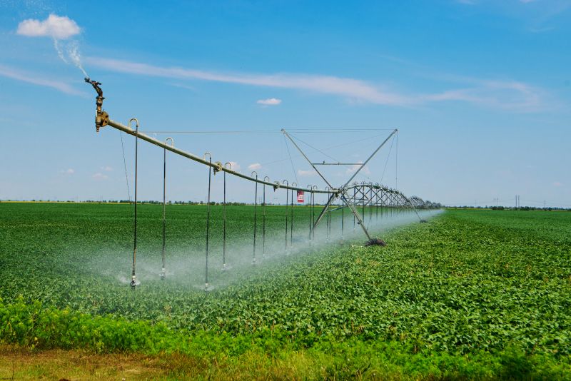 Irrigation Installation in Honolulu, HI