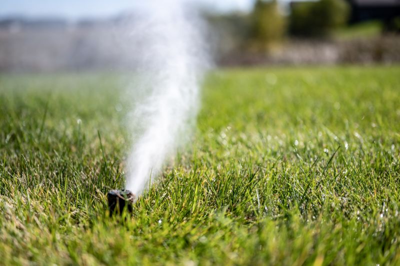 Sprinkler Blowout Service in Reno, NV