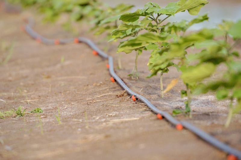 Underground Irrigation Service in Ventura County, CA