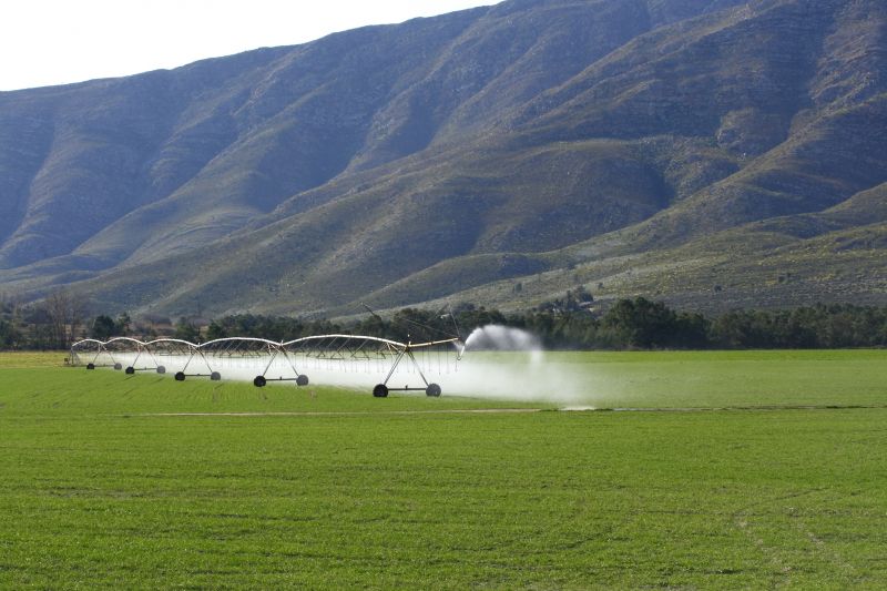 Commercial Irrigation Service in Aiken, SC