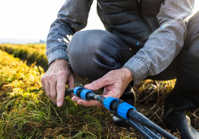 Sprinkler Pipes Repair