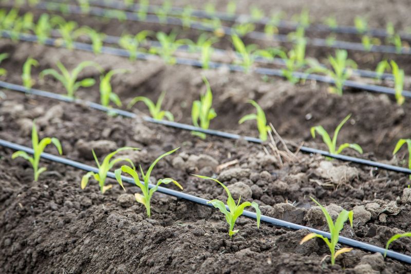 Crop Irrigation Installation in Aiken, SC