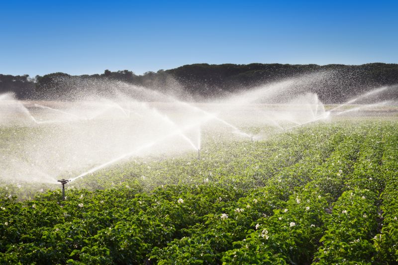 Garden Irrigation Installation in Honolulu, HI