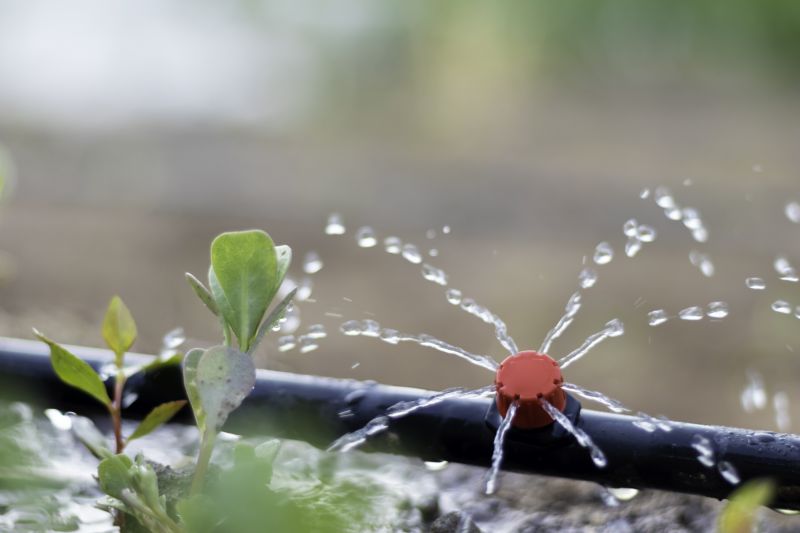 Garden Irrigation Installation in Ventura County, CA