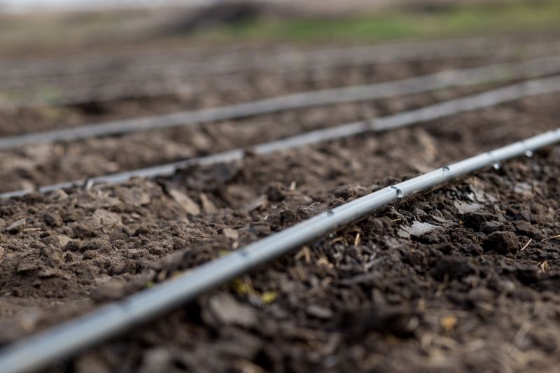 Inground Irrigation Service in Honolulu, HI