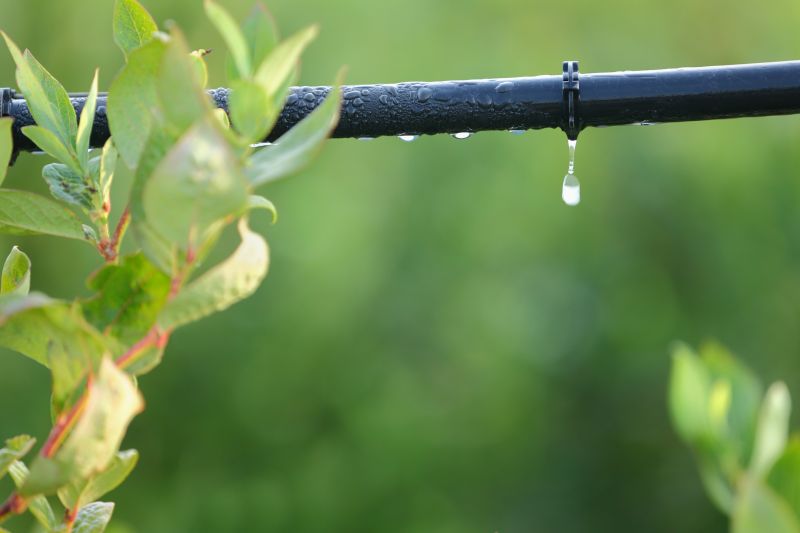 Irrigation System Replacement in Ventura County, CA