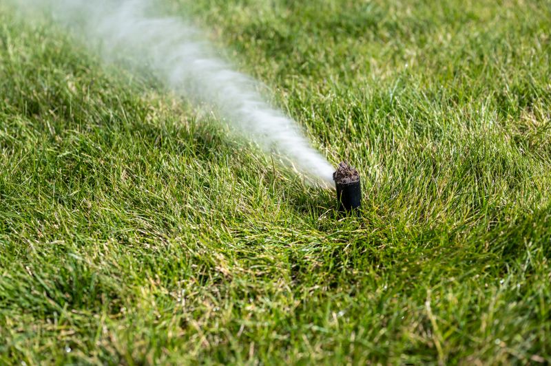 Irrigation Winterization in Ventura County, CA