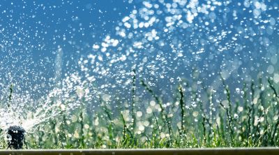 Irrigation Winterization in Honolulu, HI