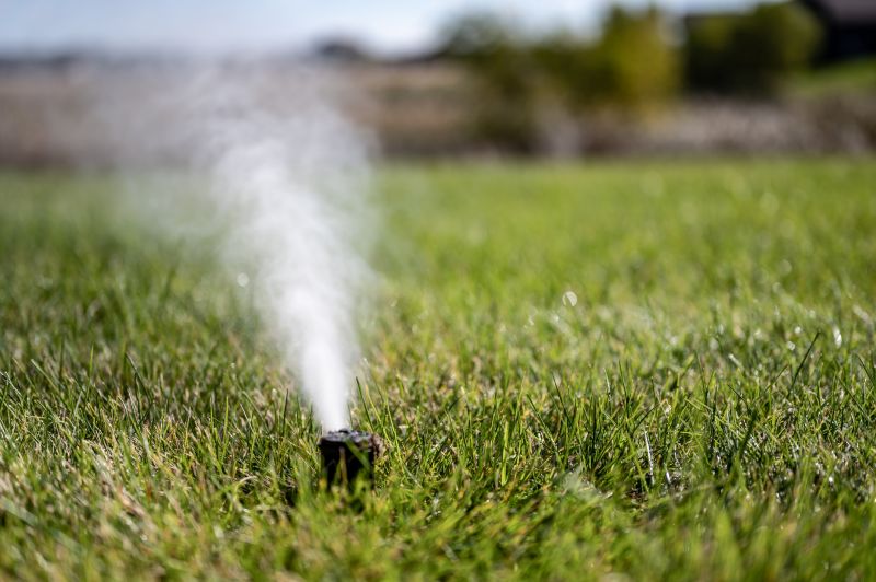 Lawn Sprinkler Replacement in Aiken, SC