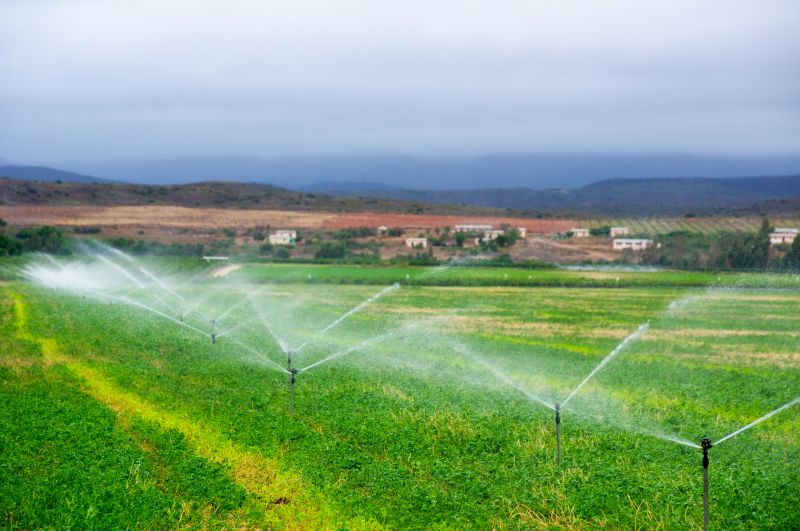 Mist Irrigation Installation in Honolulu, HI