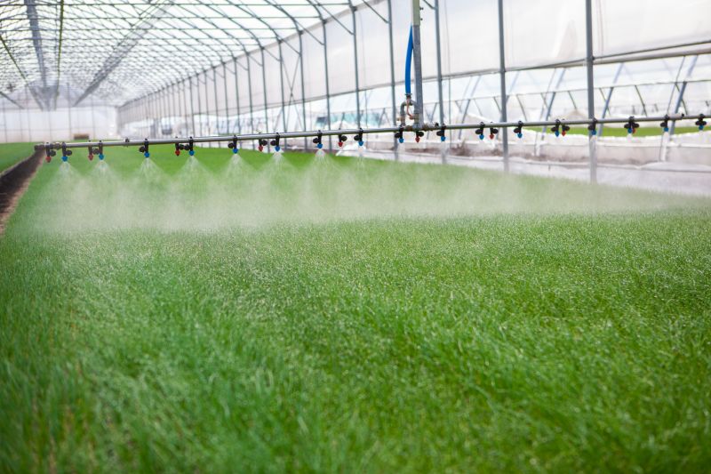 Mist Irrigation Installation in Honolulu, HI