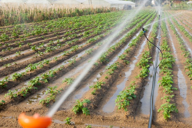 Plant Irrigation Installation in Aiken, SC