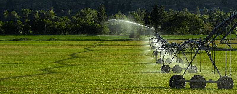Plant Irrigation Installation in Aiken, SC