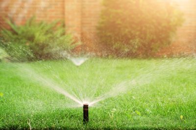 Sprinkler Blowout Service in Honolulu, HI
