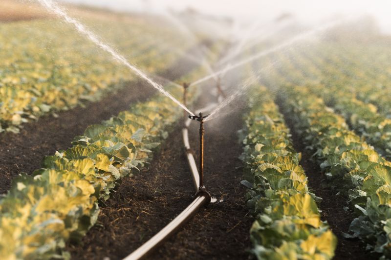 Watering System Installation in Ventura County, CA